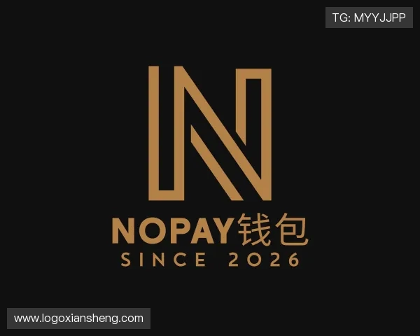 介绍NOPAY钱包